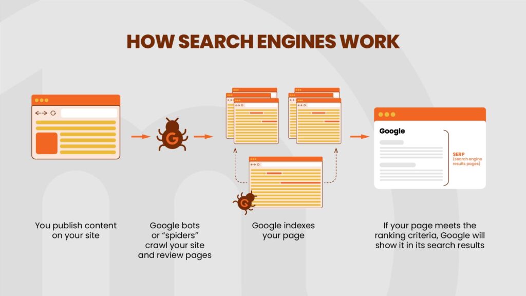 An infographic showing how search engines work 
